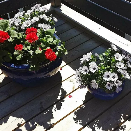 Holiday Skraenten Ii